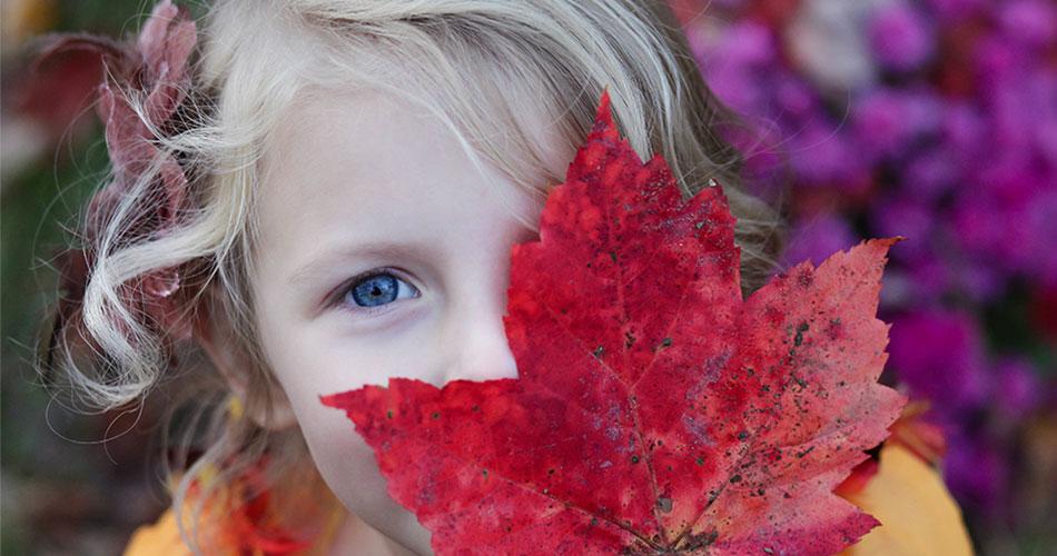 Best Tablet Cases for Traveling with a Child