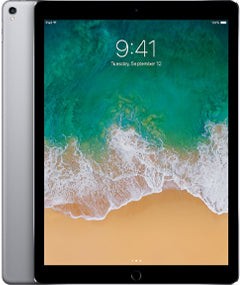 Apple iPad Pro 12.9 (1st &amp; 2nd gen)